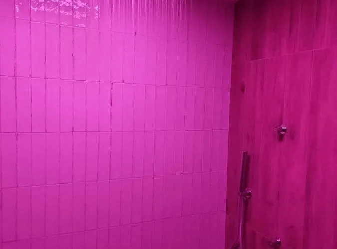 Apartamento Domus Bama *