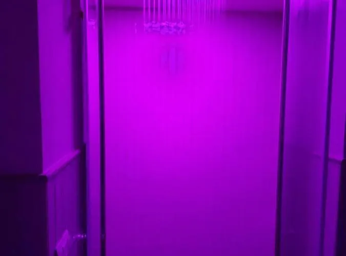 Domus Bama Apartamento *