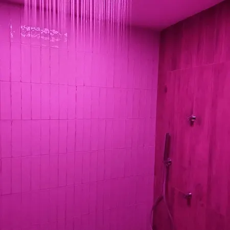 Apartment Domus Bama *