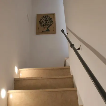 Domus Bama Apartment *