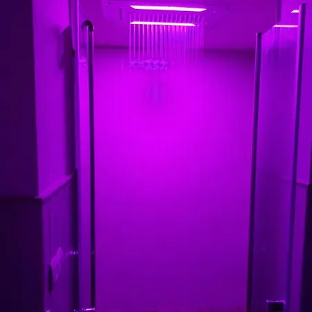 Domus Bama Апартаменты *